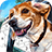 icon Dog Color by Number 1.0