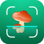 icon Mushroom Identifier