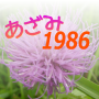 icon ansoft.azami1986