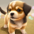 icon DogTown 1.10.5