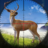 icon Deer Hunting Sniper Hunter 2.4