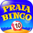 icon Praia Bingo 21.13