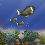 icon Fish Tycoon 