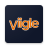 icon Viigle 5.61