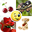 icon Stickers+ 2.1.4